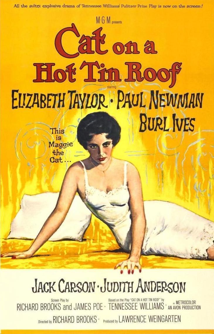 Cat On A Hot Tin Roof